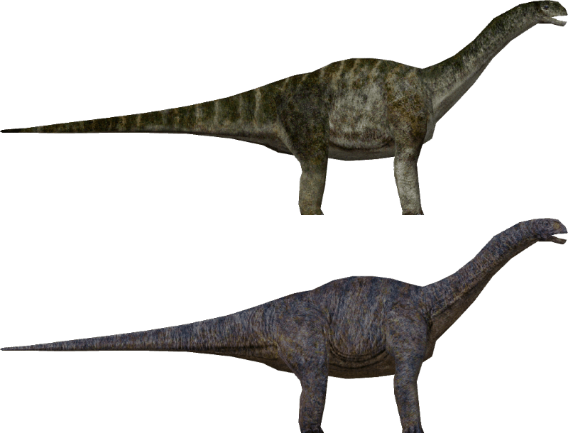 Stegosaurus Png (800x610), Png Download