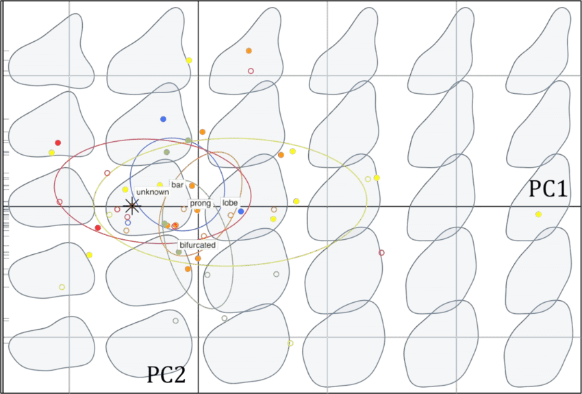 Biplot Of The Pca Performed On Stegosaurus Dorsal Plates (850x575), Png Download