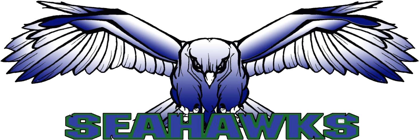 Wordpress - Com - (1500x506), Png Download