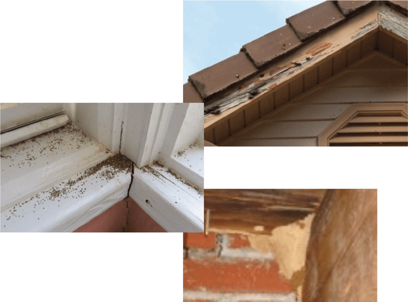 Image (1742x1290), Png Download