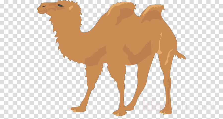 Green Balloons No Background Clipart Balloon Royalty-free (900x480), Png Download