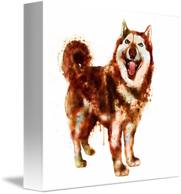 This Cute Brown Pet Melts Any Heart When You Look Into (606x650), Png Download