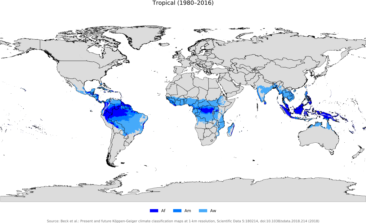 Tropical Island Png (1200x728), Png Download