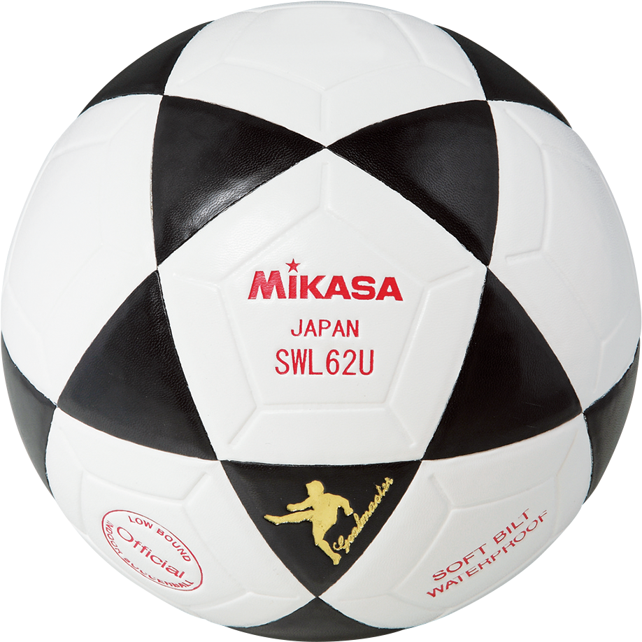 Mikasa Png (1000x1000), Png Download