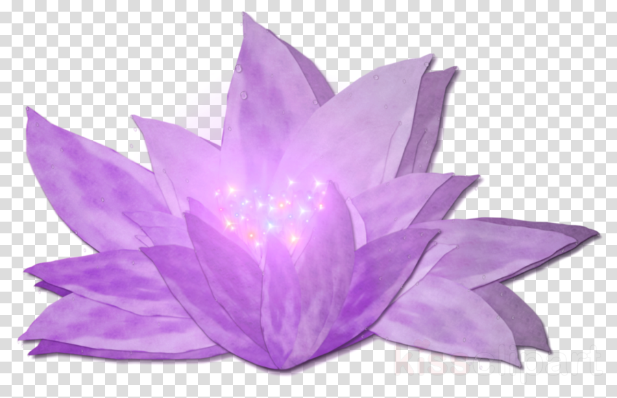 Magical Png (900x580), Png Download