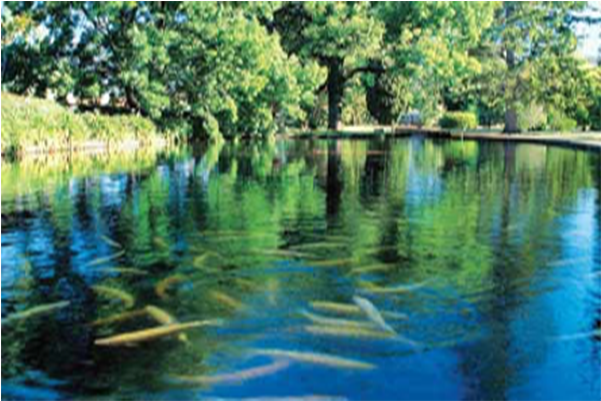 5d4n Gold Coast Village Roadshow Theme Parks (600x600), Png Download