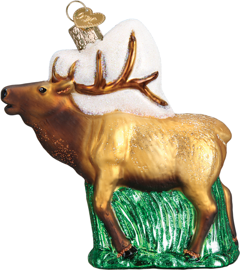 Elk Png (950x950), Png Download
