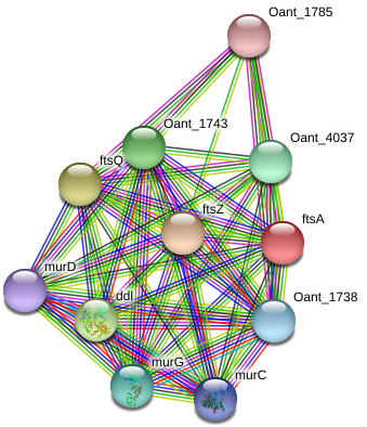 Septum Ring Png (976x430), Png Download