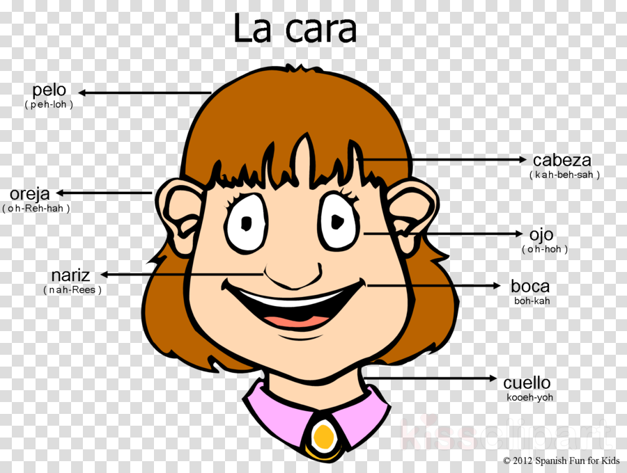 Nariz Png (900x680), Png Download