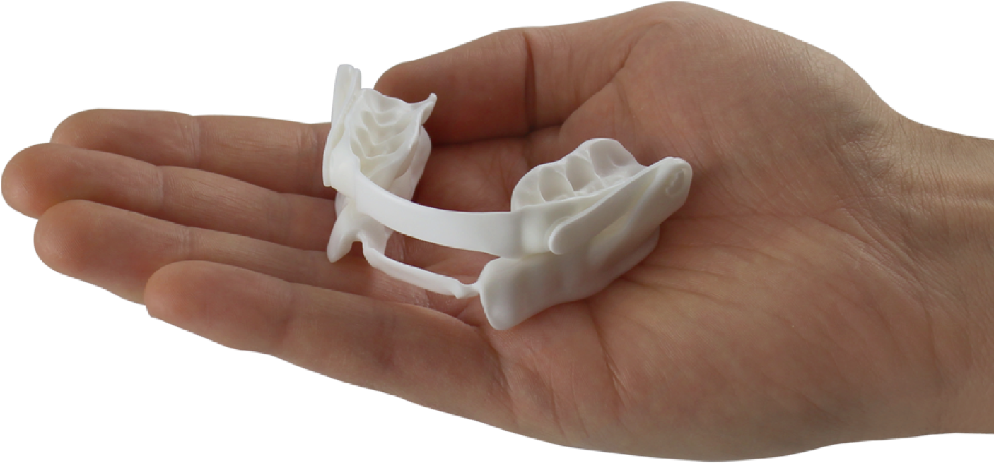 Nariz Png (1446x683), Png Download