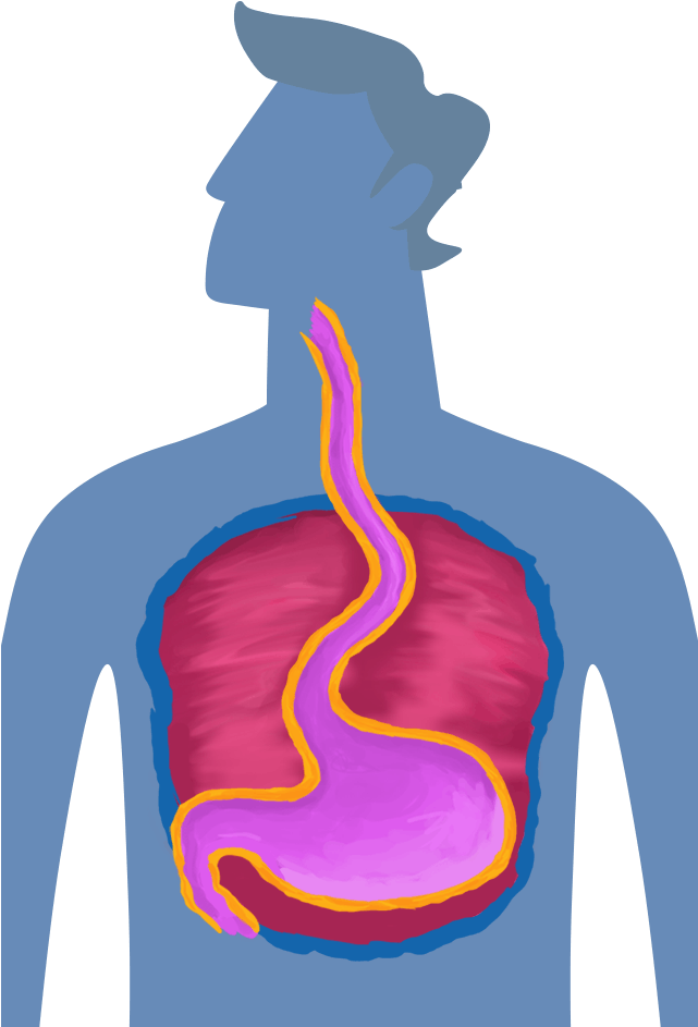 Heartburn (640x960), Png Download