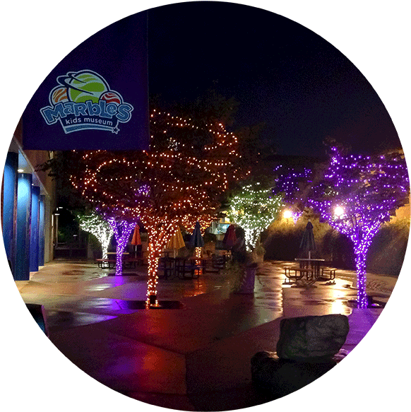 Holiday Lighting - North Carolina (600x600), Png Download