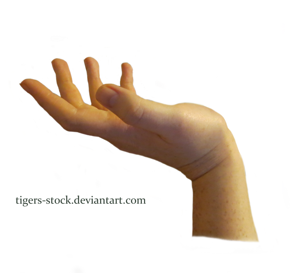 Transparent Hands Male - Hand Png (1024x929), Png Download