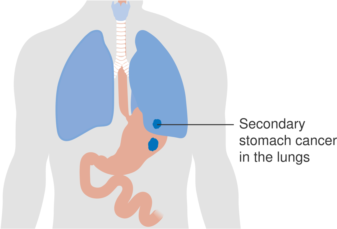 References - Illustration (1250x888), Png Download