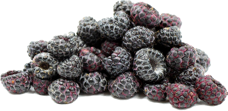 Black Raspberries Png File - Black Rasberry Png (872x427), Png Download