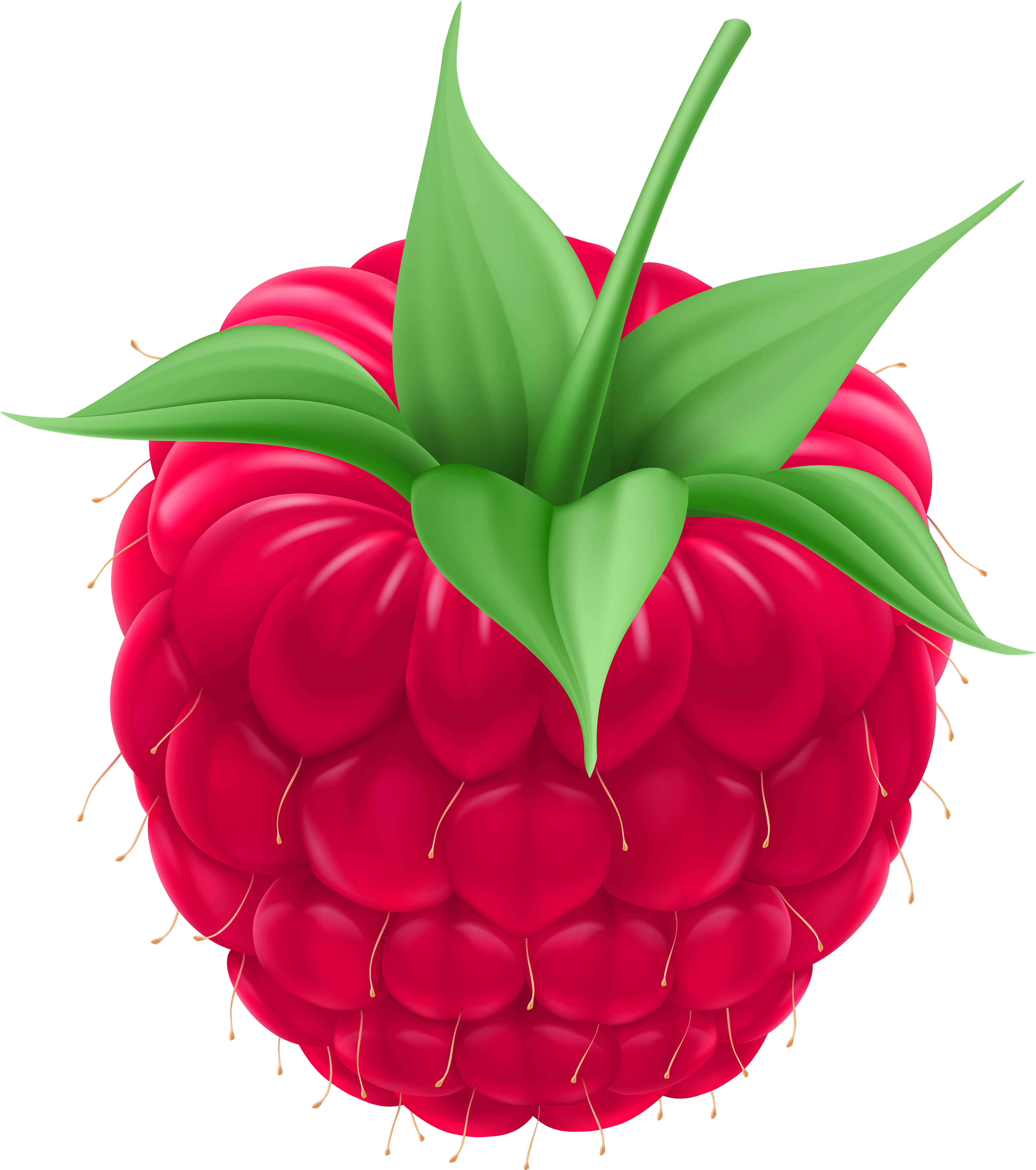 Png Clip Art Image Gallery Yopriceville High (4436x5000), Png Download