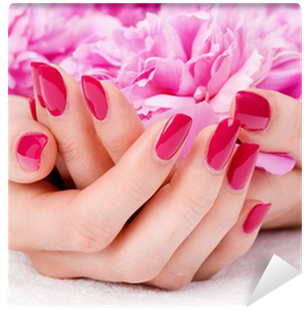 Woman Cupped Hands With Manicure Holding A Pink Flower - Classic Manicure And Pedicure (400x400), Png Download