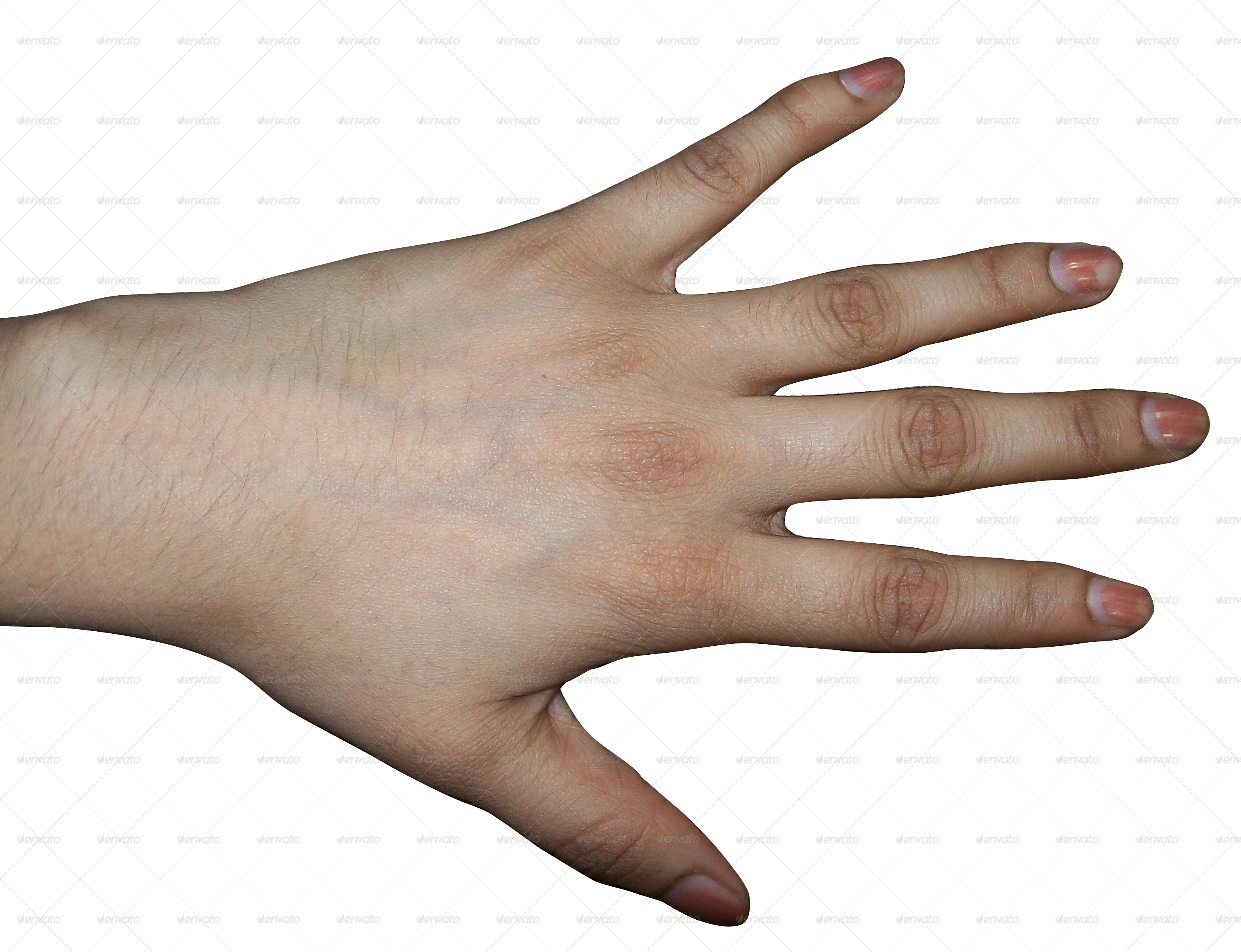 Clipart Hand Human Hand - Back Of Human Hand (3076x2360), Png Download