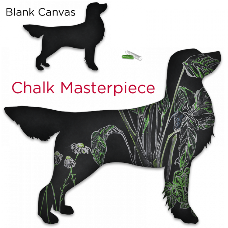 This Golden Retriever Chalkboard Dog Is A Large, Re-positionable - Dog (750x750), Png Download