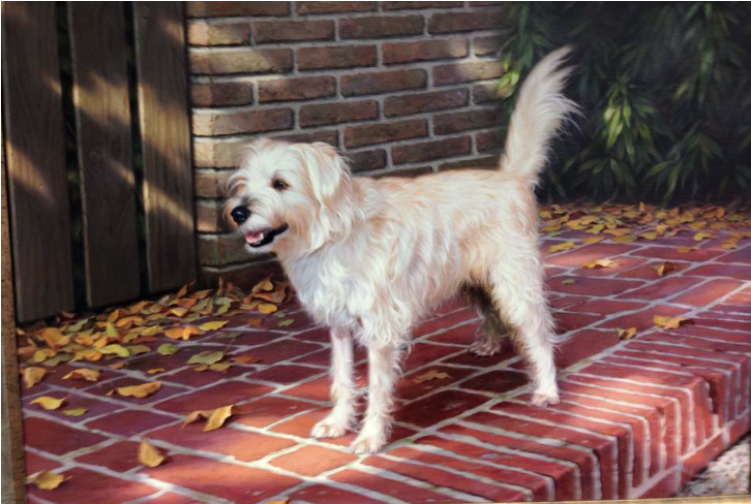 Ahmad Haraji (750x750), Png Download