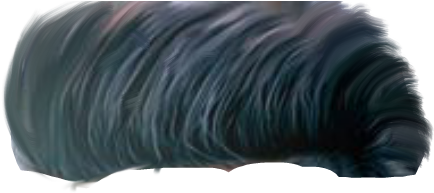 Cb Hair Png - Lace Wig (480x600), Png Download