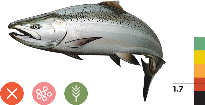 Central Valley Spring-run Chinook Salmon - Sacramento River Winter Run Chinook Salmon (700x373), Png Download