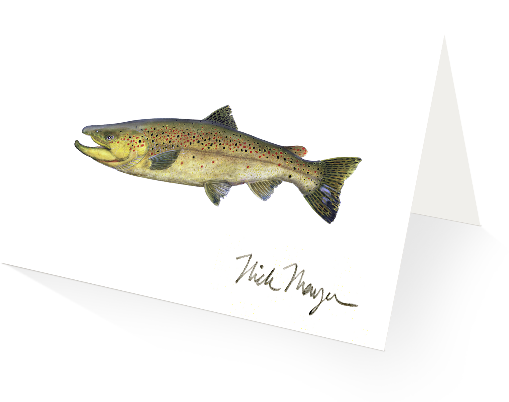 Beaver Pond Brook Trout - Brook Trout Brook Trout Brook Trout Shot Glass (480x387), Png Download