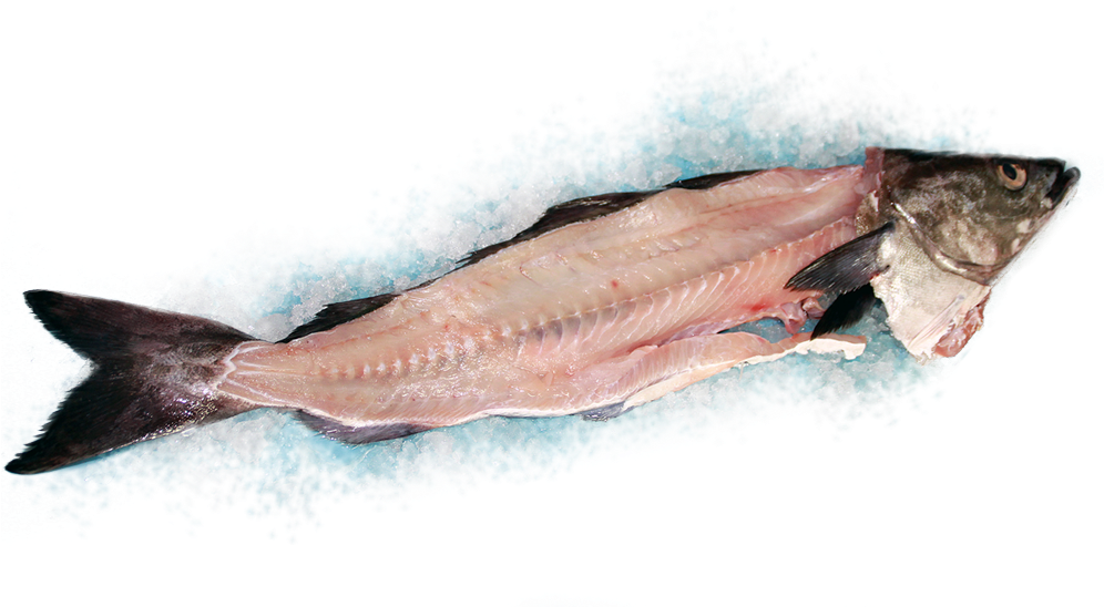 Saithe Backbones - Parure (1150x600), Png Download