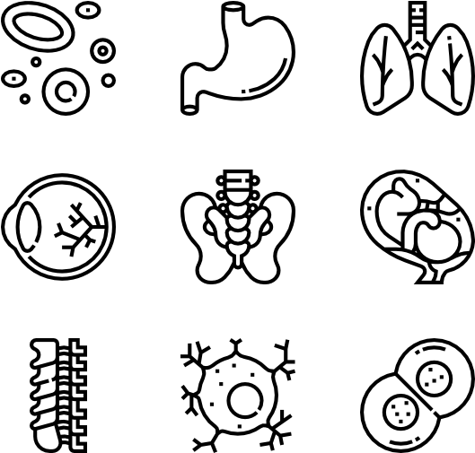 Human Organs - Hand Drawn Icons Png (600x564), Png Download