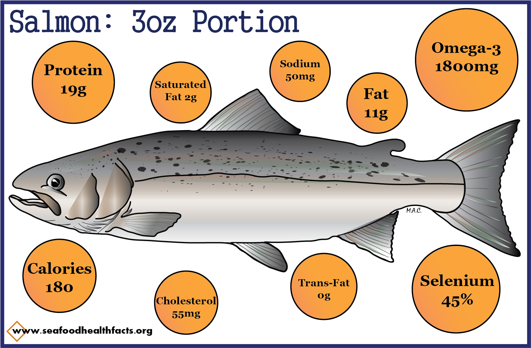 Salmon (png) - Trout (1800x1200), Png Download