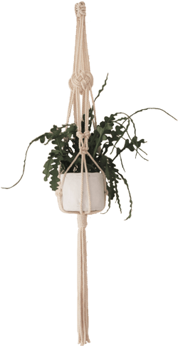 Awaji Knot Macrame Plant Hanger - Épée (500x500), Png Download