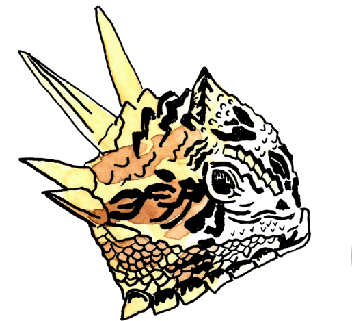 Illustration (550x550), Png Download