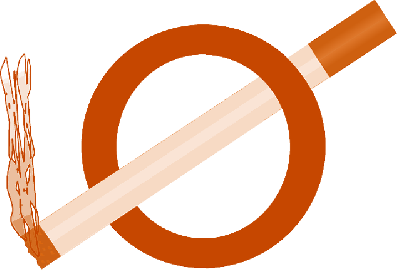 Symbol, Circle, Signs, Symbols, Smoking, Smoke - Smoke Sign (800x548), Png Download