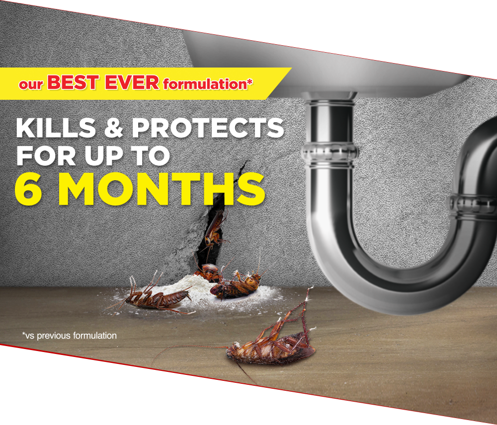 Crawling Insect Killer Powder 100g (1000x856), Png Download