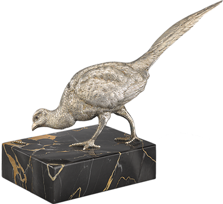 Pheasant Png (867x656), Png Download