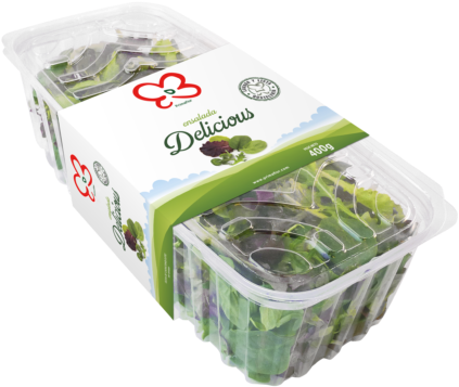 Baby Leaf Delicious Horeca Punnet 400g (600x600), Png Download