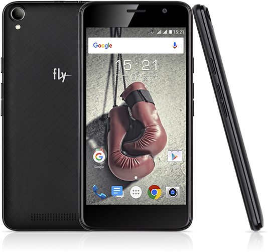 Fly Knockout (562x550), Png Download