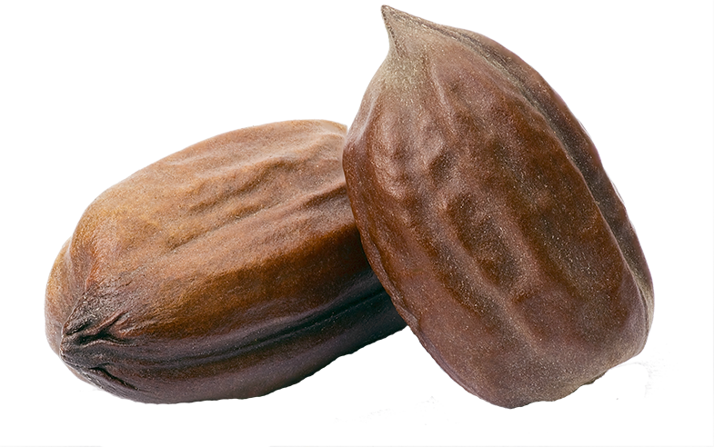 Jojoba (785x492), Png Download