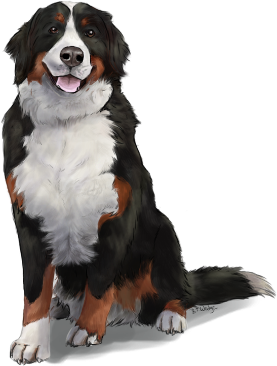 Vertical Divider (682x800), Png Download