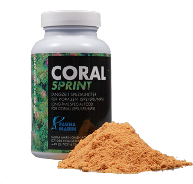 Fauna Marin Coral Sprint (600x600), Png Download