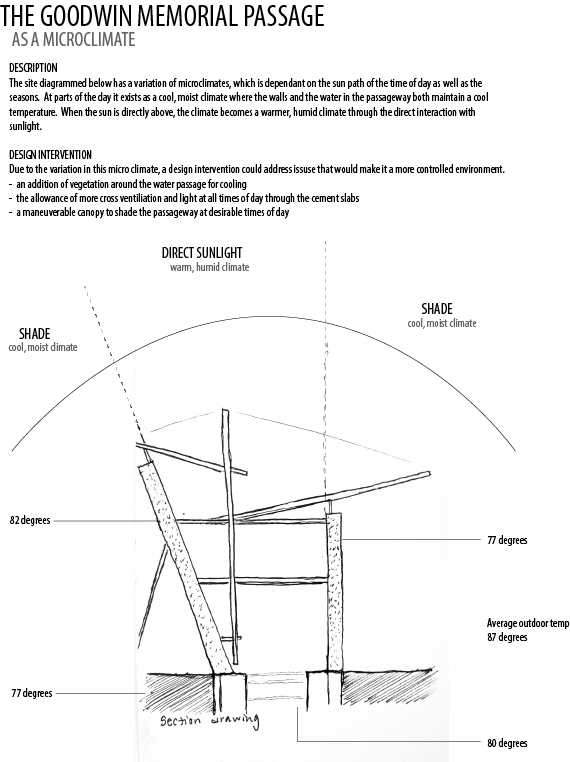 Microclimate As Part Of The Surrounding Environment (570x762), Png Download