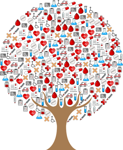 Albero Del Sangue (522x640), Png Download