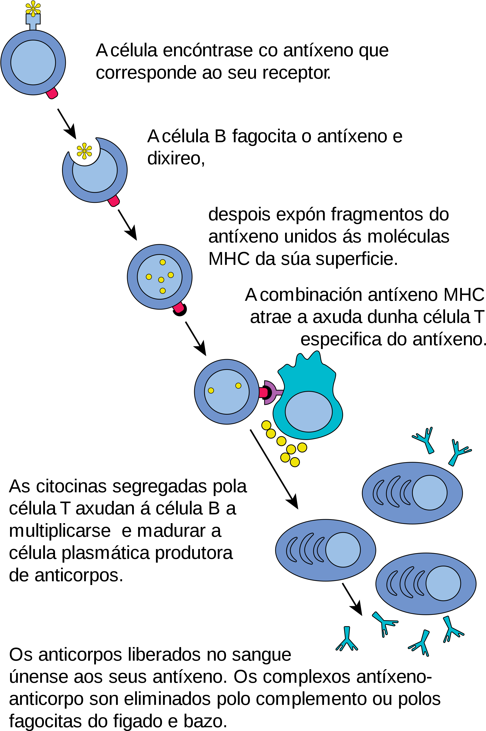 Open (2000x3072), Png Download