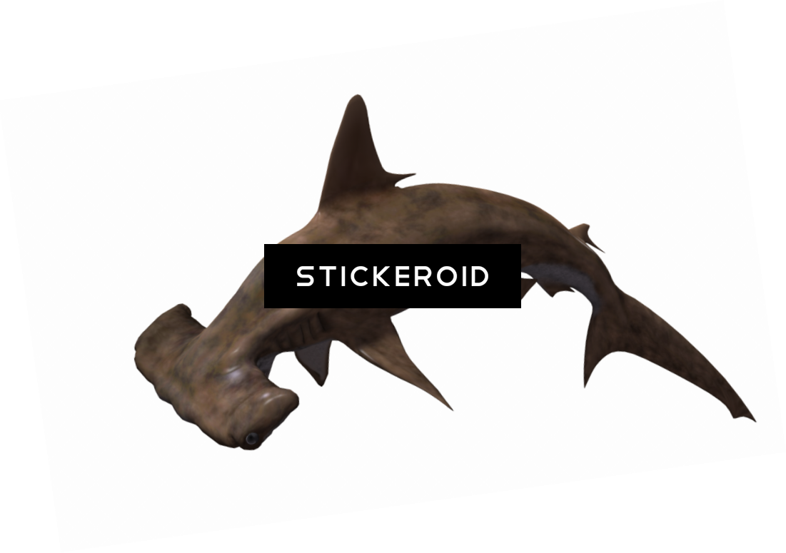 Shark Animals (1101x775), Png Download