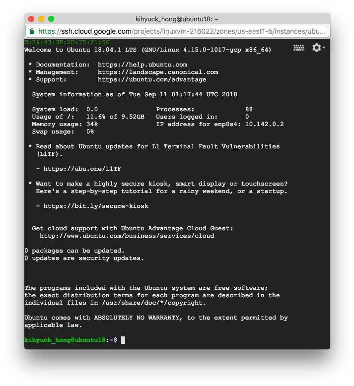 Ssh-shell (728x789), Png Download