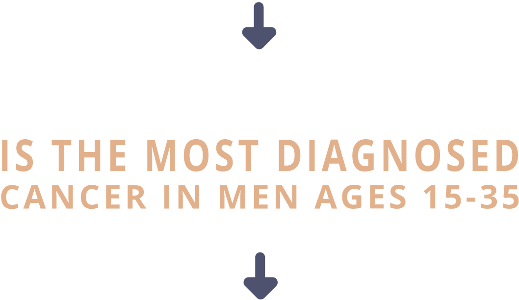 Mo-testicularcancer (1110x615), Png Download
