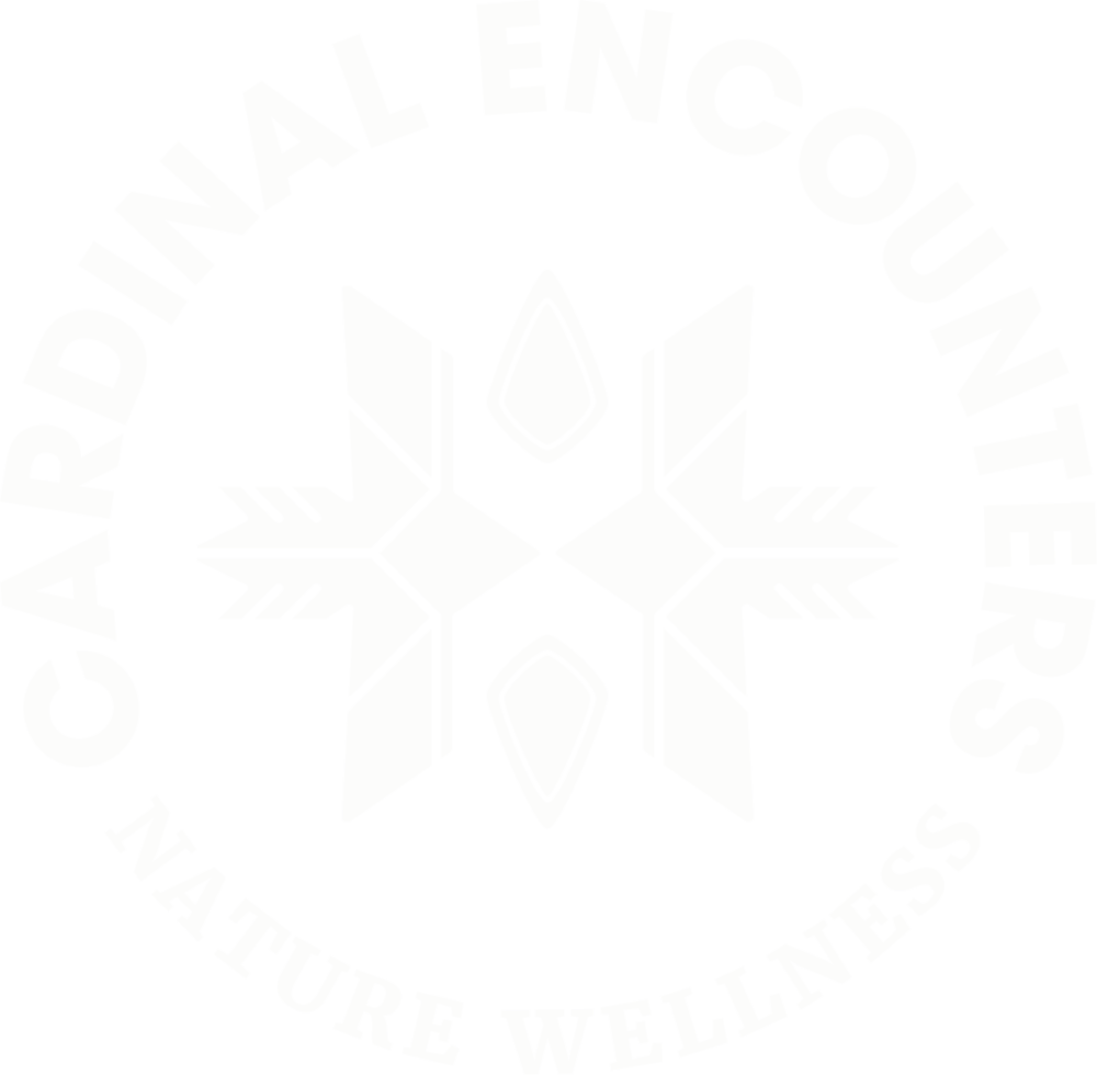 Ce Logo-white (1000x980), Png Download