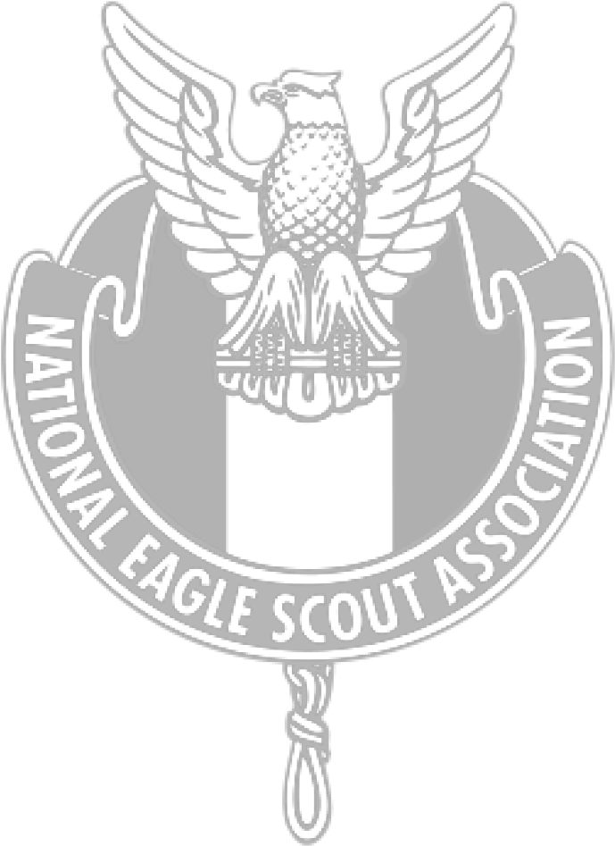 Eagle Scout Logo (1000x1000), Png Download