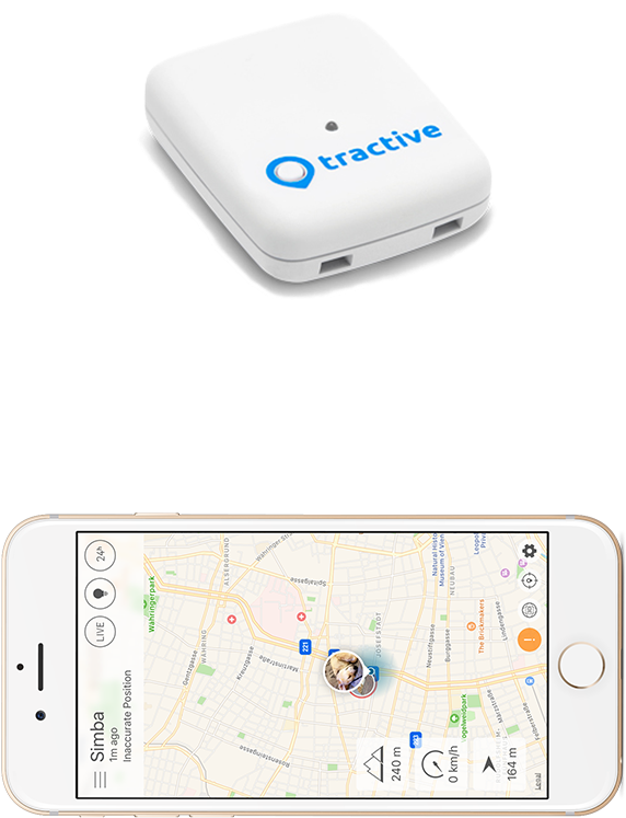 Tratr1 Compass Transverse 1024 (1024x1049), Png Download