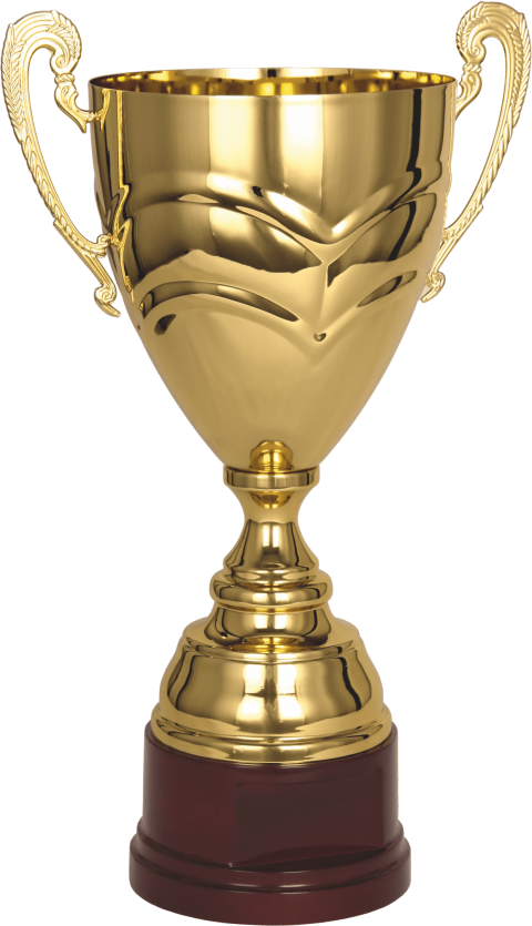 Download Golden Cup Png Images Background (480x835), Png Download
